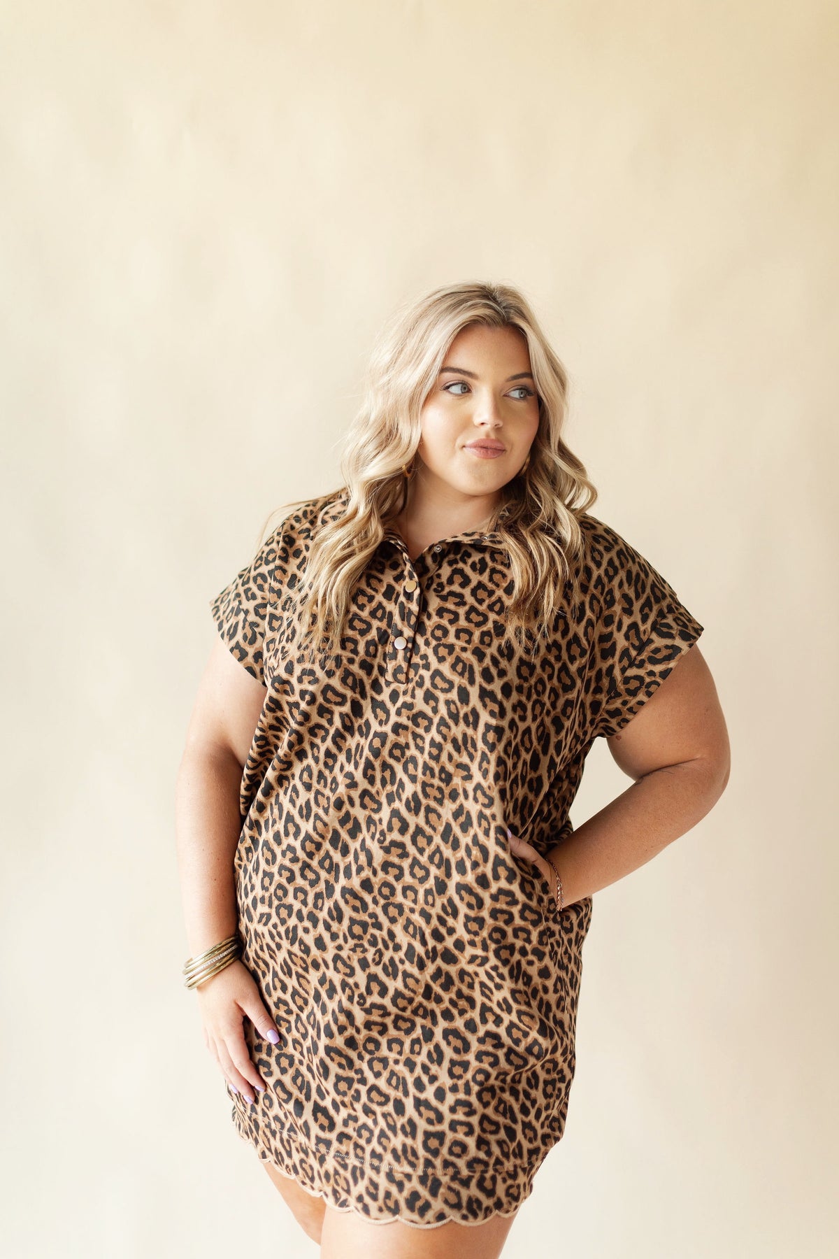 The Meg Dress in Leopard