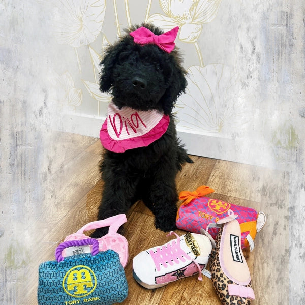 Pet Toys & Accessories